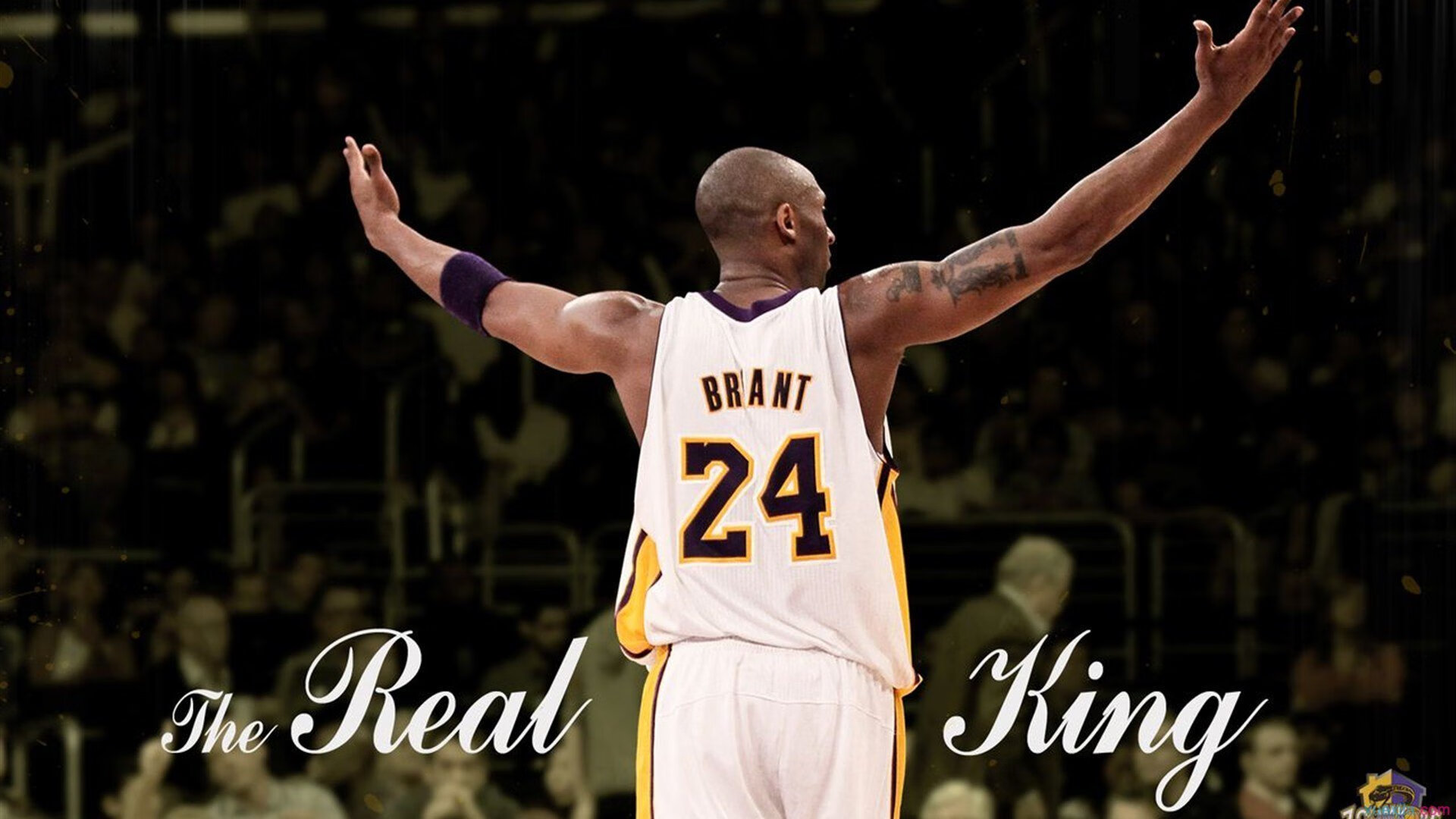 kaiyun-JDG选手多面手表现抢眼，jdg选手名单